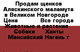 Продам щенков Аляскинского маламута в Великом Новгороде › Цена ­ 5 000 - Все города Животные и растения » Собаки   . Ханты-Мансийский,Нягань г.